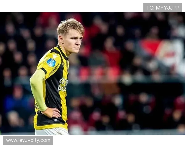 厄德高：从天才少年到成熟核心的荣誉与成长轨迹分析