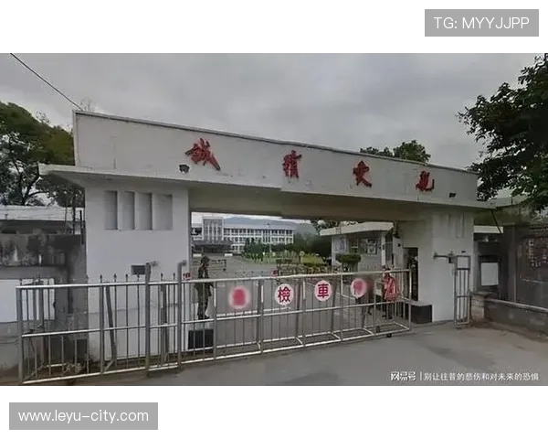 三秒区规则怎么算犯规？新手如何快速理解禁区限制